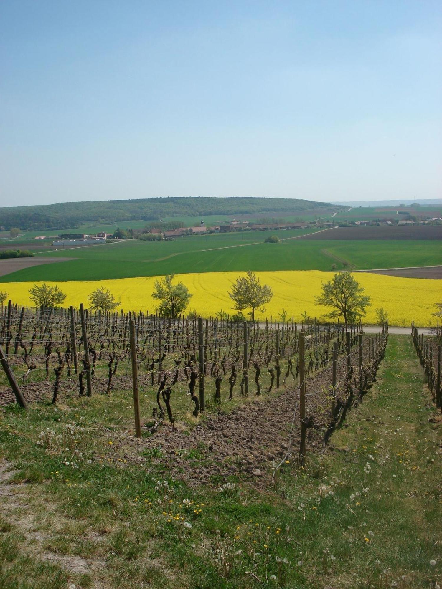 Landgasthof Zum Schwarzen Adler Markt Nordheim Экстерьер фото