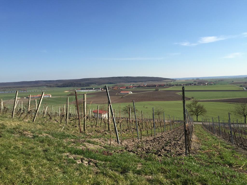 Landgasthof Zum Schwarzen Adler Markt Nordheim Экстерьер фото